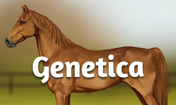 Geneticablog #1: Back to the Basics 1.0