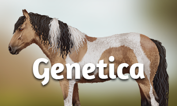  Geneticablog #3: Back to the Basics 3.0