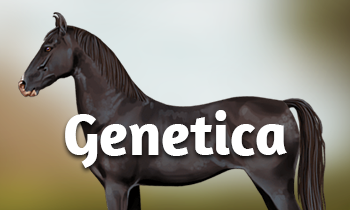 Geneticablog #6: Moleculaire genetica 2.0