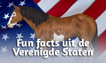 Fun facts uit de Verenigde Staten