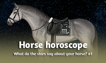 Horse horoscope: What do the stars say about your horse? P1