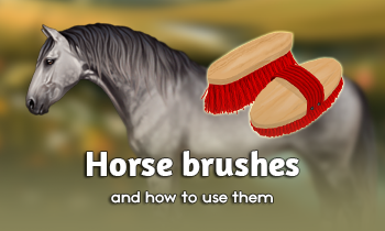 Brushes and how to use