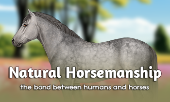 Natural Horsemanship