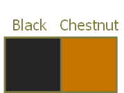 Black and chestnut alleles