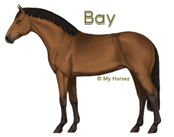A bay Dutch Warmblood at online horsegame My Horsez