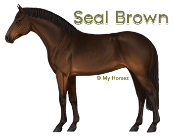 A seal brown Dutch Warmblood at online horsegame My Horsez