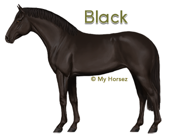 A black Dutch Warmblood at online horsegame My Horsez