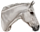 Rank 0: Grey: "Grey rank icon representing users with fewer than 50 forum posts on My Horsez."