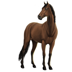 Sapientas: "Sapientas, a bay Dutch Warmblood stallion from the My Horsez Herd, representing wisdom and leadership."