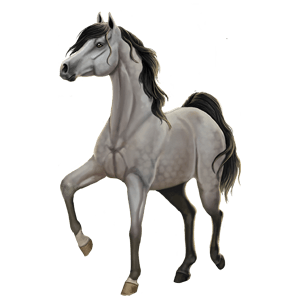 Venilla: "Venilla, a dapple grey Arabian mare from the My Horsez Herd, embodying love and friendliness."