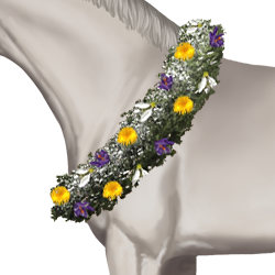 Snow wreath – "A snow wreath crafted on Winter Island, offering a bonus to dressage and jumping."