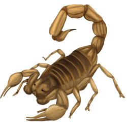 Image of a Scorpion barn buddy– "A scorpion found in the Siccusta Desert, an item that players can discover while exploring the desert."