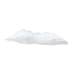 Snow – "Snow gathered on Winter Island, used for crafting snowmen and snow animals."