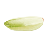 Belgian endive – "A Belgian endive found on Winter Island, offering a +3 hunger bonus for horses."