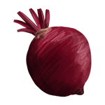 Beet – "A beet found on Winter Island, providing a +3 hunger boost for horses."