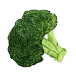 Broccoli – "Broccoli found on Winter Island, offering a +3 hunger boost for horses."