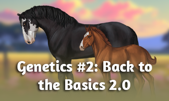 Horse Genetics #2: Back to the Basics 2.0