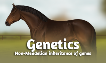 Horse Genetics #3: Back to the Basics 3.0: Non-Mendelian inheritance of genes