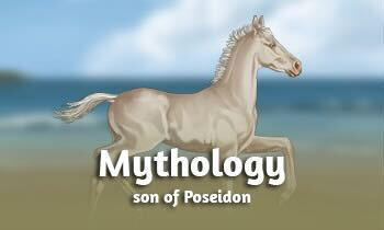 Mythology: son of Poseidon