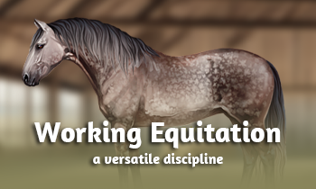Discipline spotlight: Working Equitation