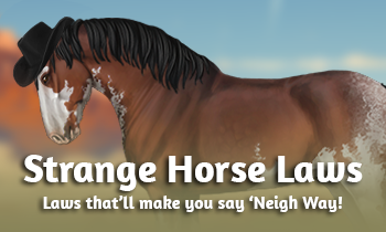 Fun facts: Strange Horse Laws
