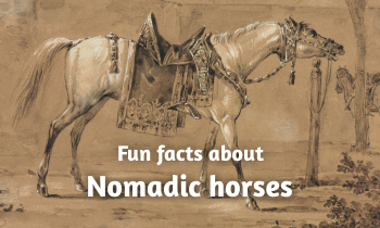 Fun facts about Nomadic horses