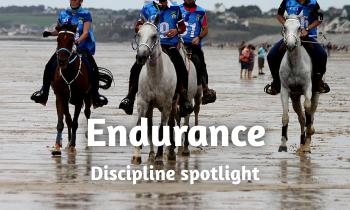 Discipline spotlight: Endurance