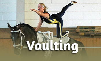Discipline spotlight: Vaulting