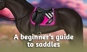 A beginner’s guide to saddles