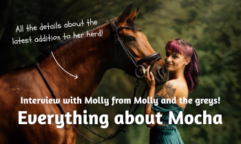 Interview with Molly and the Greys: Everything about Mocha!