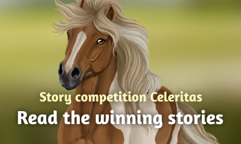 The Winning Stories – Celeritas’ History