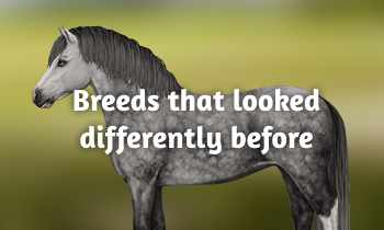 Breeds that looked differently before
