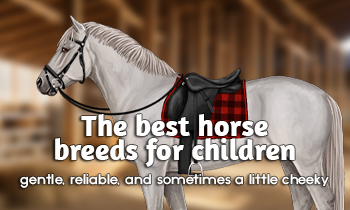 Horse breeds for children