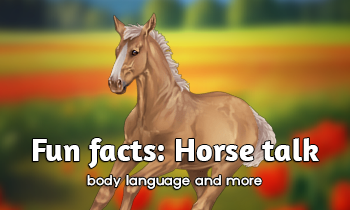 Fun Facts: Horse Talk