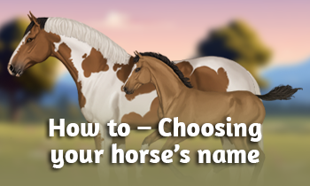 How to – Choosing your horse’s name