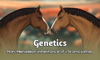 Genetics #4: Back to the Basics 4.0: Non-Mendelian inheritance of chromosomes