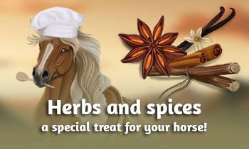 Herbs and spices: a special treat for your horse!