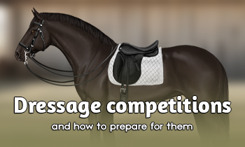 How to prepare for a dressage competition