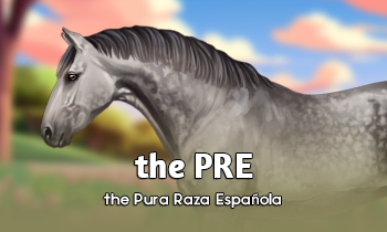 Breed spotlight: PRE