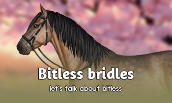 Bitless bridles