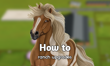How to: Ranch upgrades