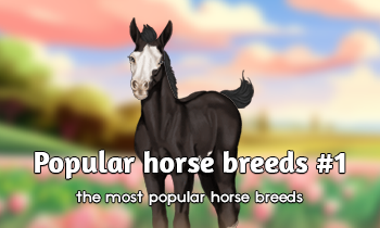 5 of the most popular horse breeds #1
