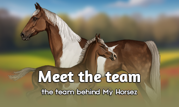 Meet the team #2