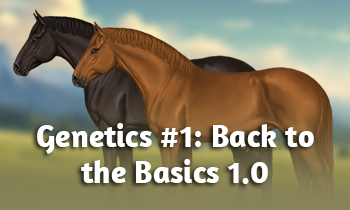 Horse Genetics #1: Back to the Basics 1.0