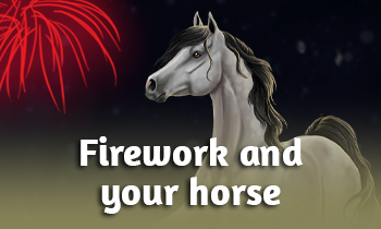 Fireworks and your horse