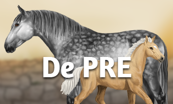 Ras in de spotlight: De PRE!