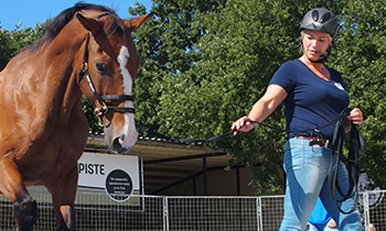 Paarden begrijpen - Interview met Annemarie van der Toorn