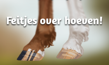 Leerzame feitjes over hoeven