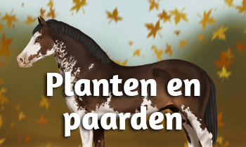 Planten en paarden