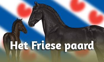 De Fries in de spotlight!